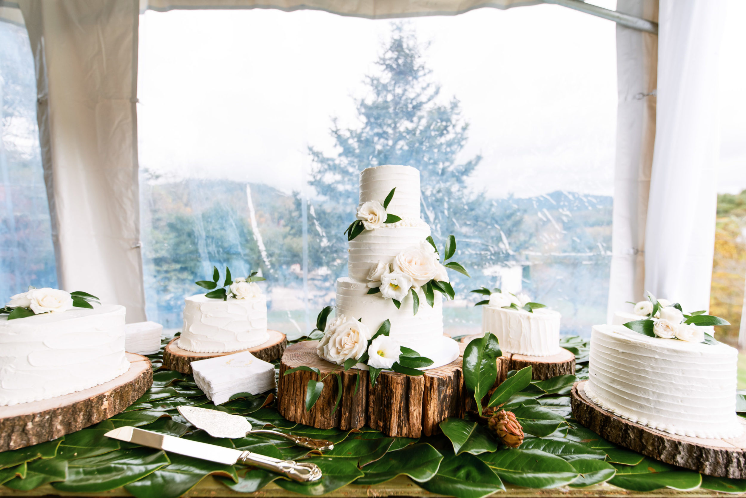 Wedding Reception Cake at Lake Junaluska