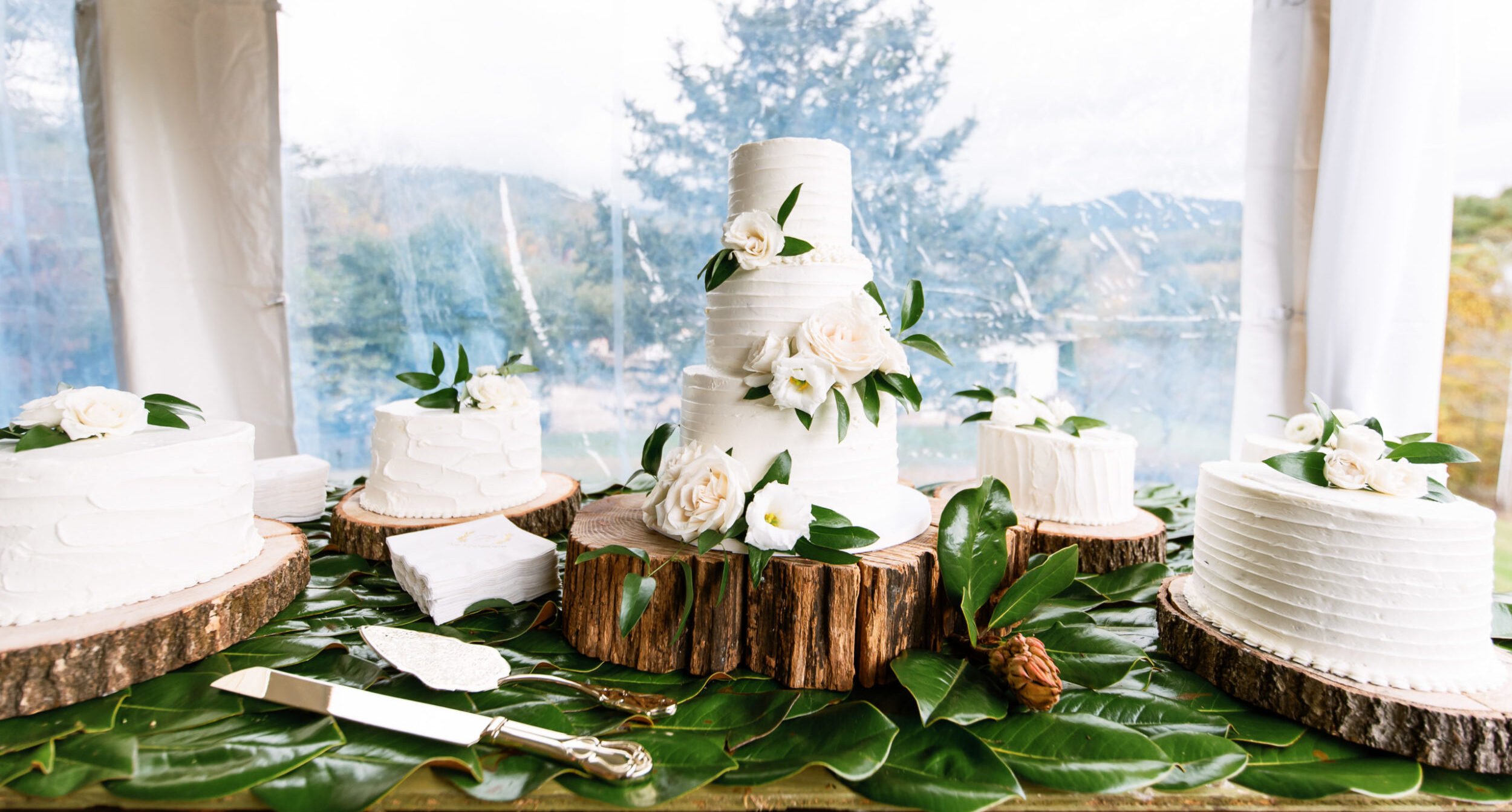 Wedding Reception Cake at Lake Junaluska