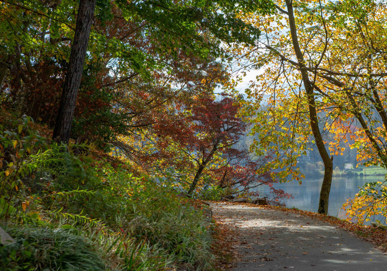 Lake Junaluska walking trail during the fall season