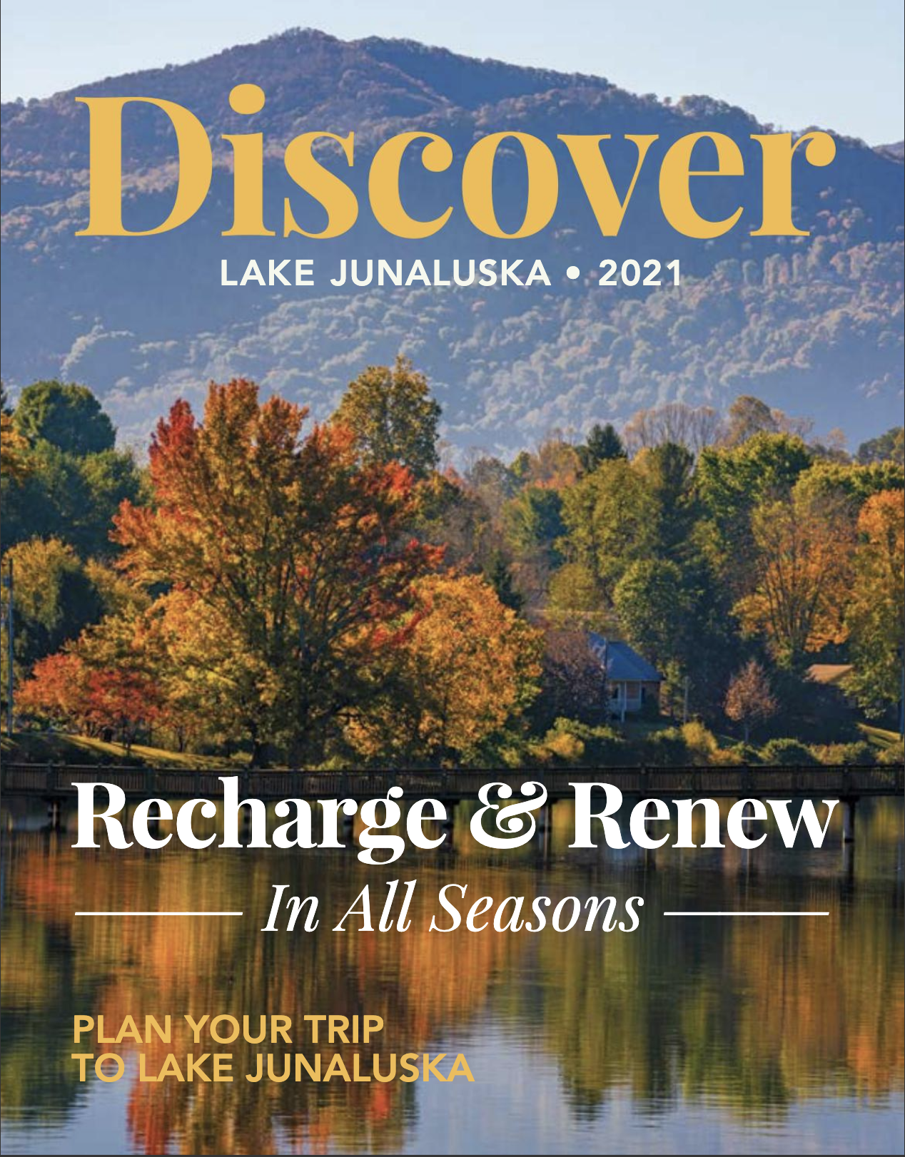 Cover Art for Discover Magazine 2021 Issue