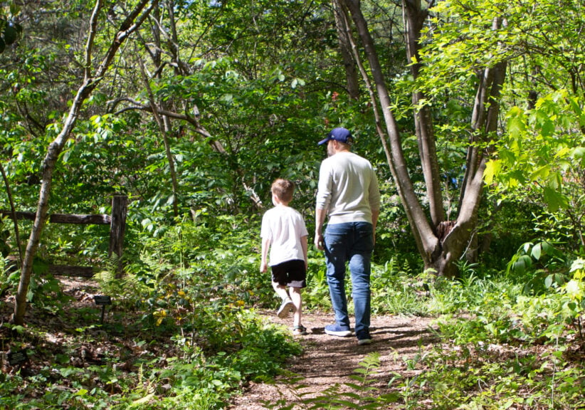 Man walking with son through Lake Junaluska's Native Garden