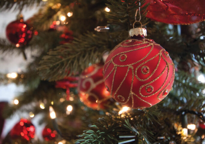 Decorated Christmas tree - ornaments
