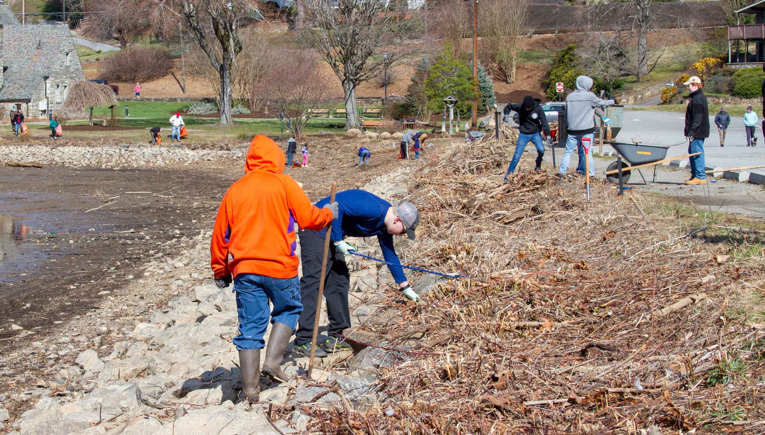 Lake clean up day volunteers clean the shoreline
