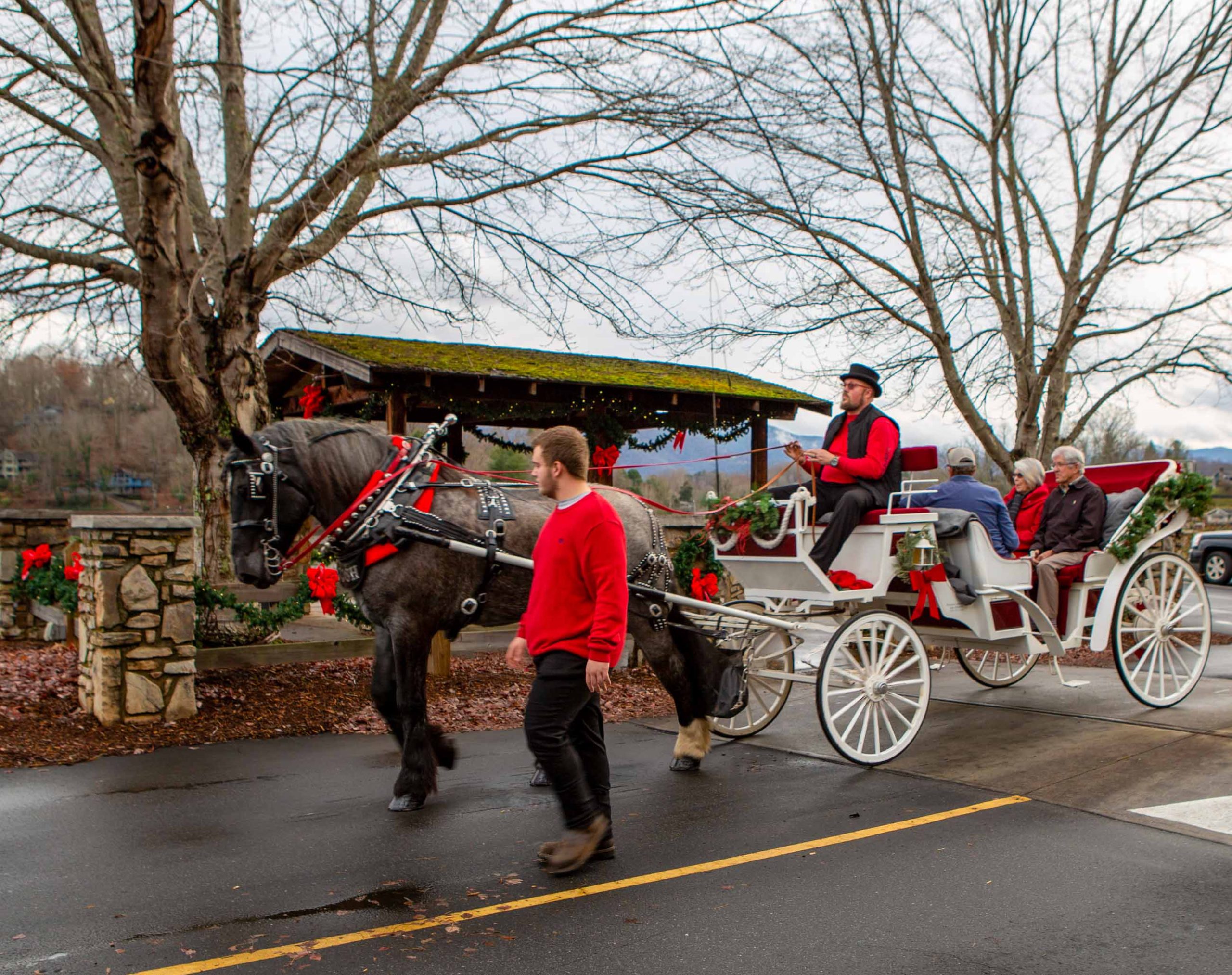 Carriage Rides at Lake Junaluska