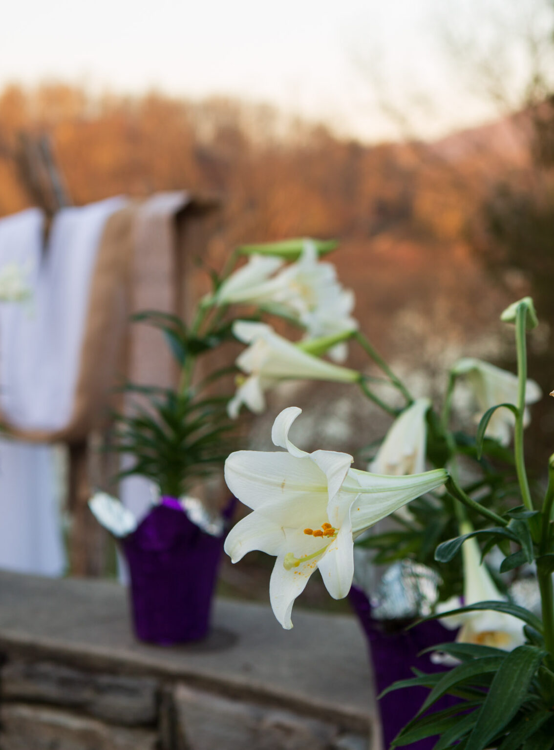 Easter Sunrise Service Lake Junaluska Conference & Retreat Center