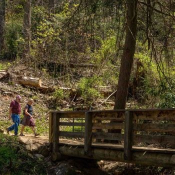 Chestnut Mountain Nature Park offers hiking, mountain biking, picnicking and other family outdoor activities.