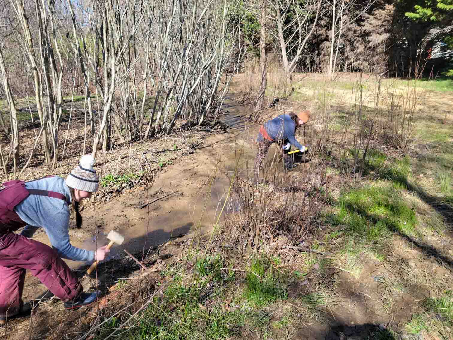 Caitlin Worsham, project manager (foreground) and Christine O'Brien, project assistant, plant livestakes as part of a Lake Junaluska wetland restoration project. (Photo courtesy Haywood Waterways Association)