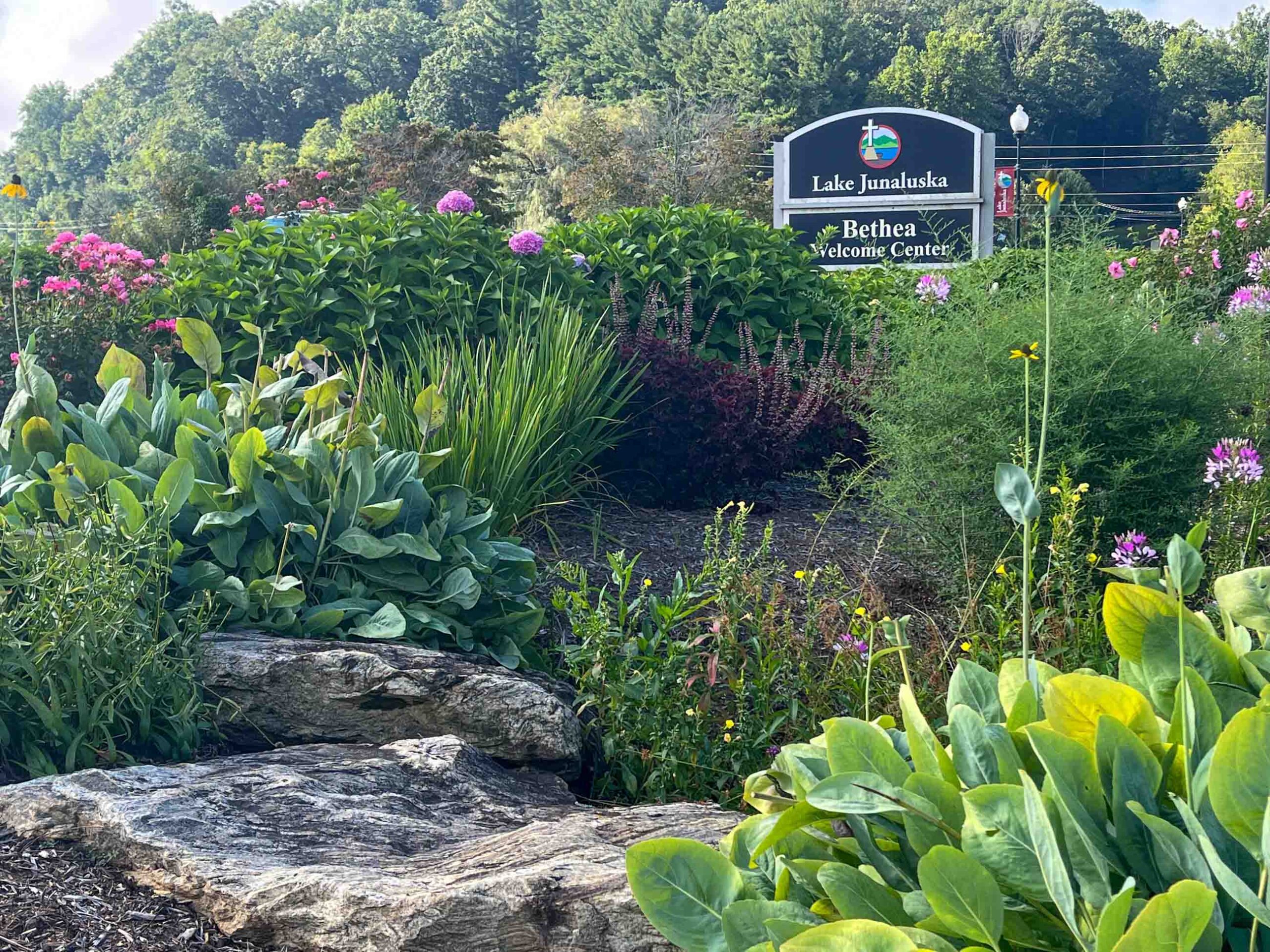 Flowers at Lake Junaluska